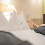 Alpenhotel Zimba Brand
